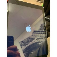 Cheap tablet - iPad (2017) 5th 128GB Space Grey (beg med märke LCD)