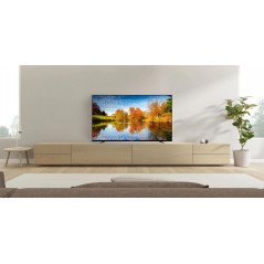 Cheap TVs - Luxor 65-tums 4K UHD-TV med inbyggd Chromecast