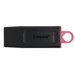 Kingston USB 3.2 Gen1 USB-flashdrev 256 GB