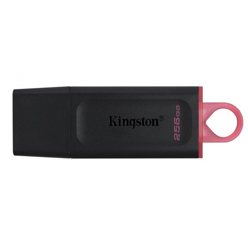 USB-nøgler - Kingston USB 3.2 Gen1 USB-flashdrev 256 GB