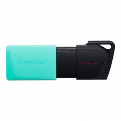 Kingston USB 3.2 Gen1 USB-flashdrev 256 GB