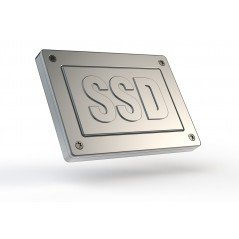 SanDisk X300s 256GB SSD harddisk SATA 2,5" (brugt)