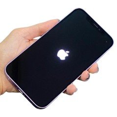 iPhone begagnad - iPhone 12 64GB 5G Purple med 1 års garanti (beg)