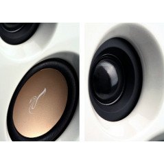 Högtalare - Swans M10 2.1 högtalarsystem