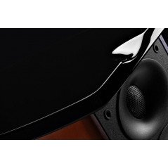 Högtalare - Swans M100 MKII högtalare
