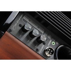 Högtalare - Swans M100 MKII högtalare