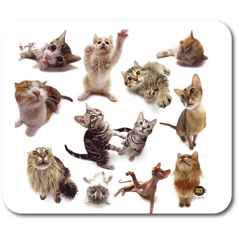 Almindelig musemåtte - Cat musemåtte af ALLSOP