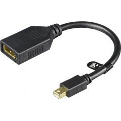 Skærmkabel & skærmadapter - DisplayPort til Mini DisplayPort-adapter med lyd