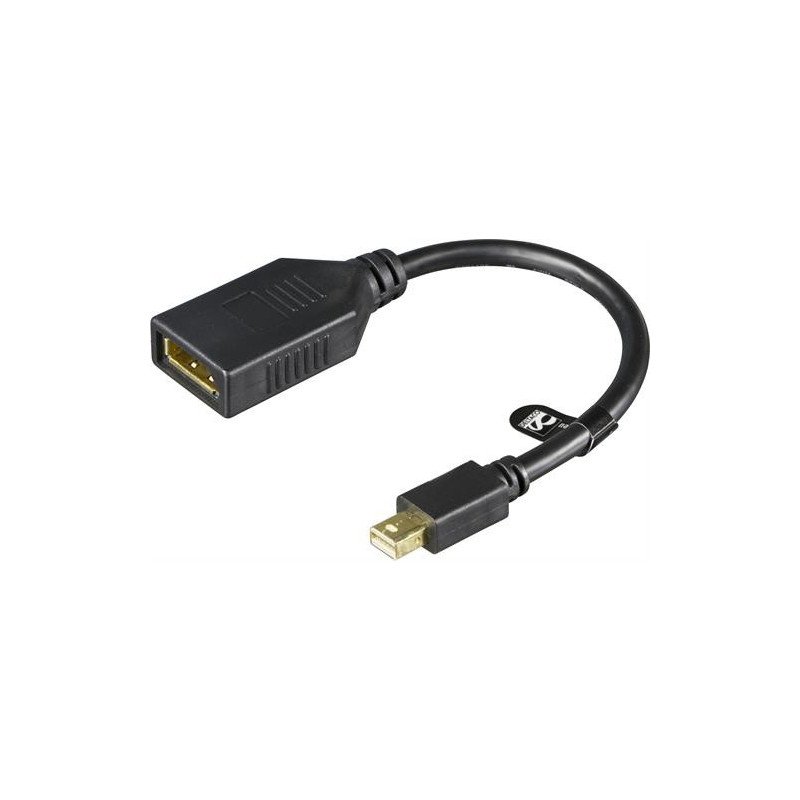 Skärmkabel & skärmadapter - DisplayPort till Mini DisplayPort-adapter med ljud