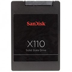Interne harddiske - SanDisk X110 SSD-hårddisk 128 GB (beg)