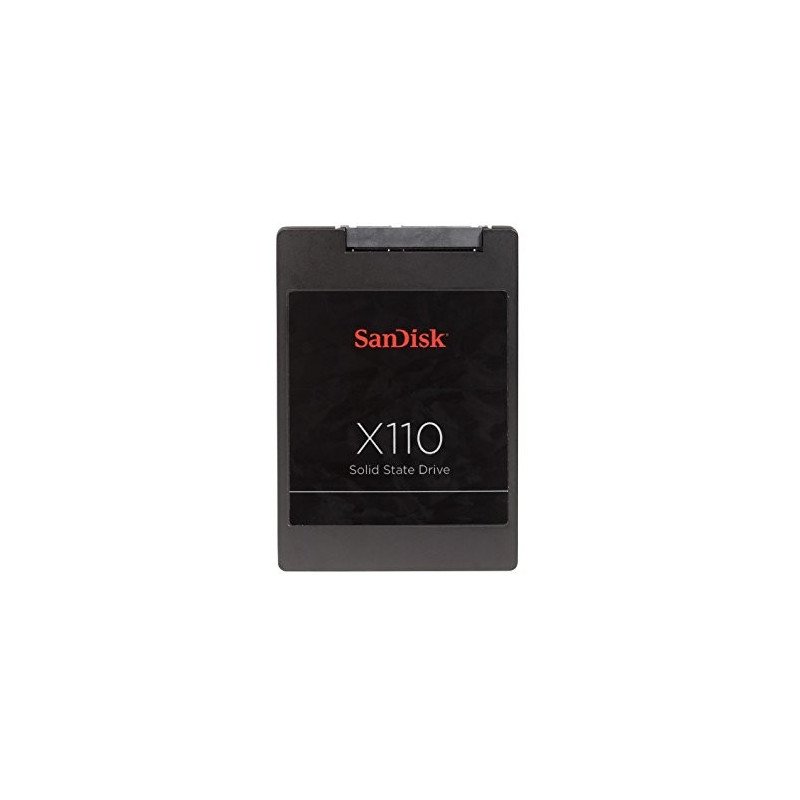 Interne harddiske - SanDisk X110 SSD-hårddisk 128 GB (beg)
