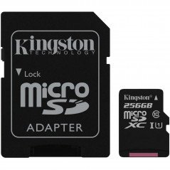 Minneskort - Kingston microSDXC + SDXC 256GB (Class 10)